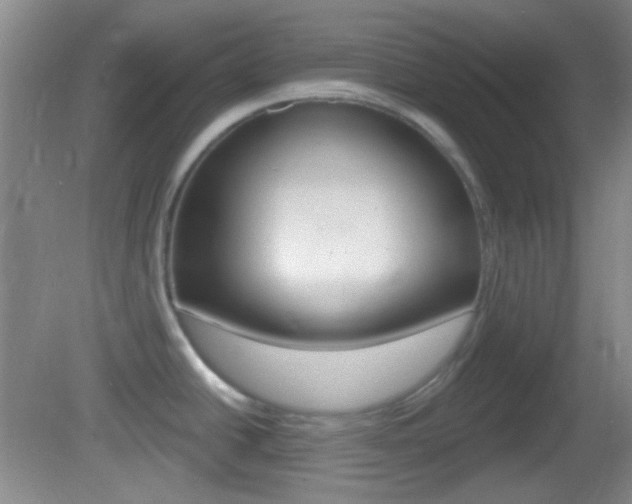 X0000082681438200701260917
