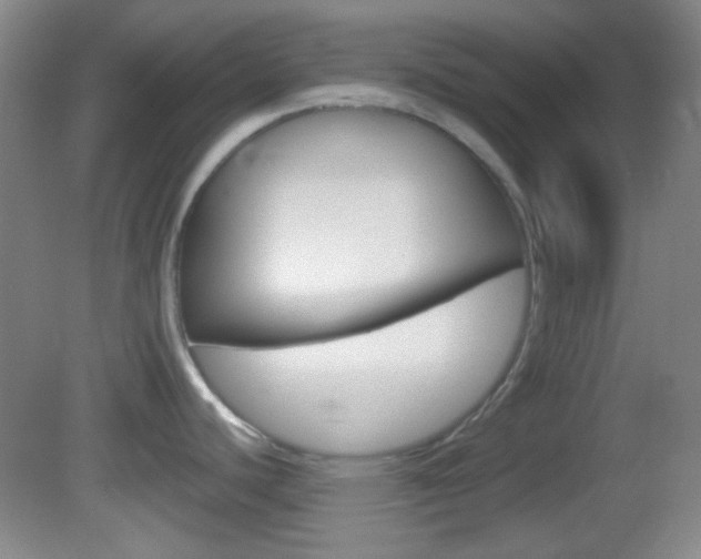 X0000082681440200701260917
