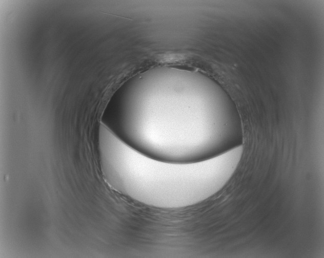 X0000082681441200701260916