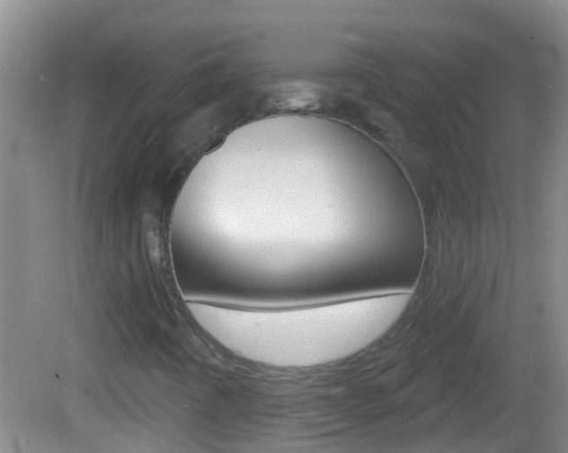 X0000082681442200701260916
