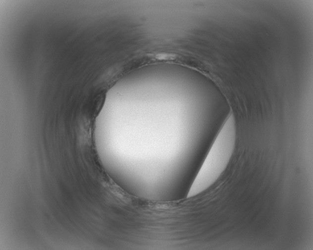 X0000082681443200701260916