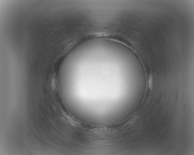X0000082681444200701260916