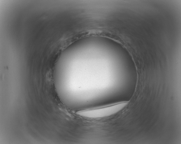 X0000082681445200701260916