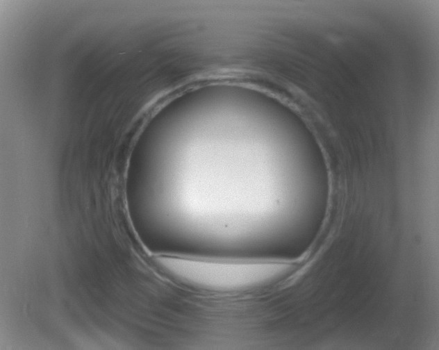 X0000082681449200701260916