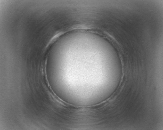 X0000082681451200701260916