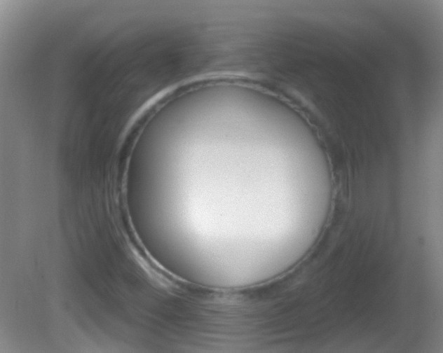 X0000082681452200701260916