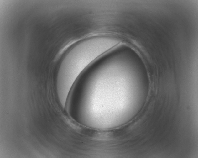 X0000082681453200701260916
