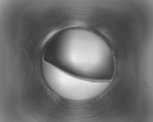 X0000082681455200701260916
