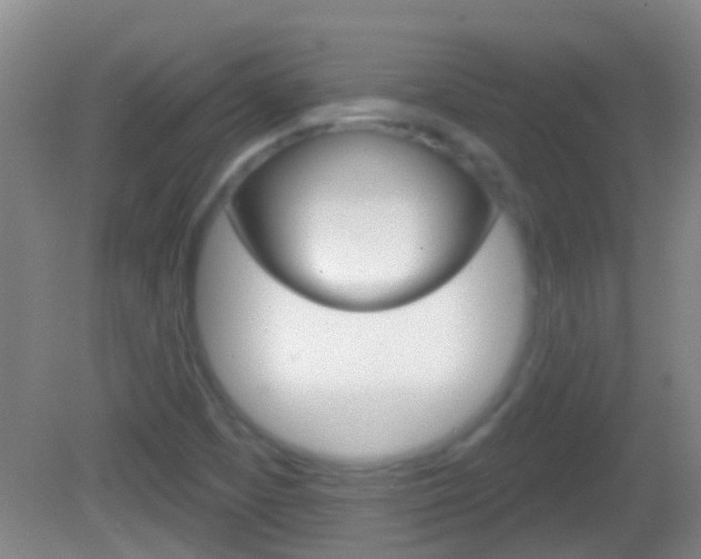 X0000082681457200701260916