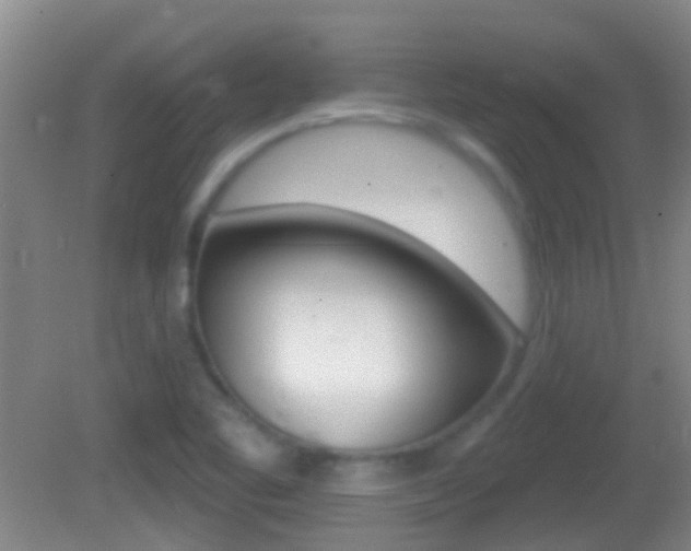X0000082681461200701260916