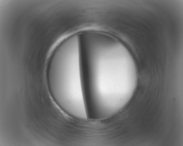 X0000082681464200701260916