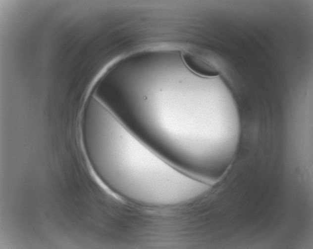 X0000082681476200701260916