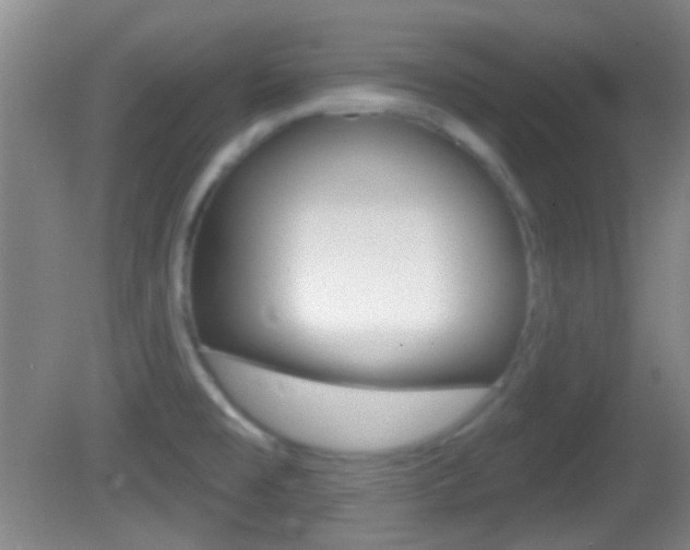 X0000082681477200701260916