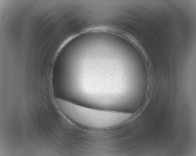 X0000082681481200701260916