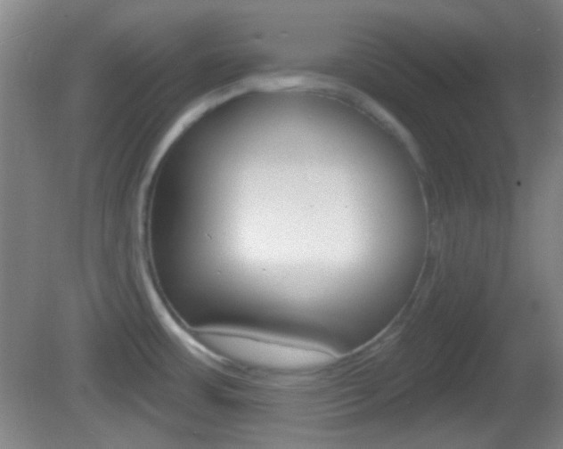 X0000082681483200701260916