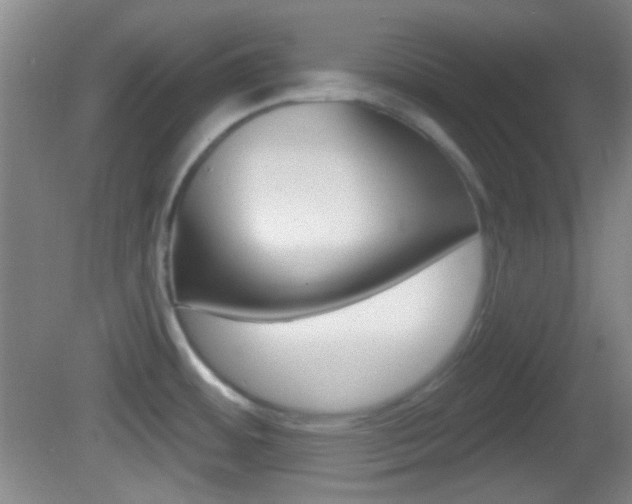 X0000082681484200701260916