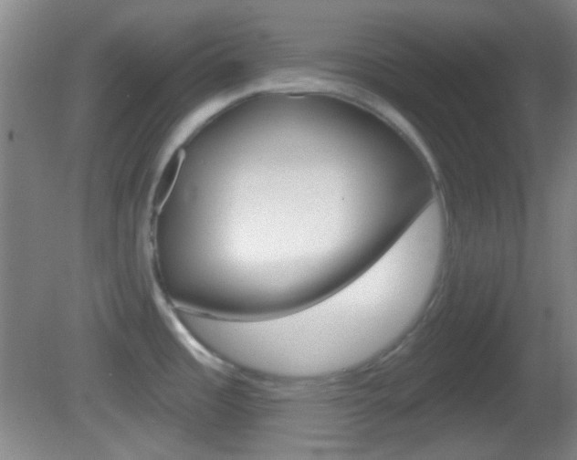 X0000082681485200701260916
