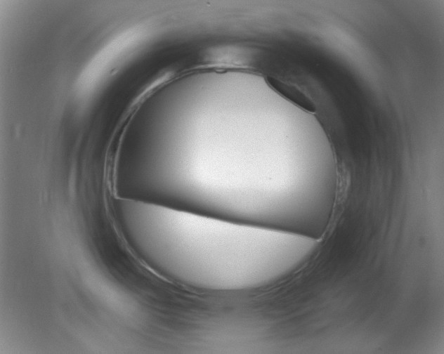 X0000082681487200701260916