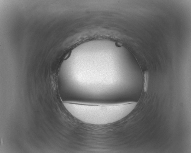 X0000082681491200701260915