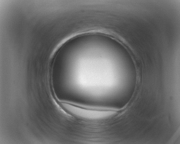 X0000082681500200701260915