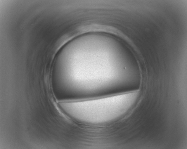X0000082681513200701260915