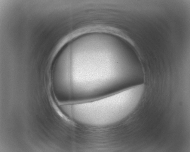 X0000082681515200701260915