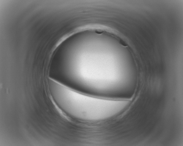 X0000082681521200701260915