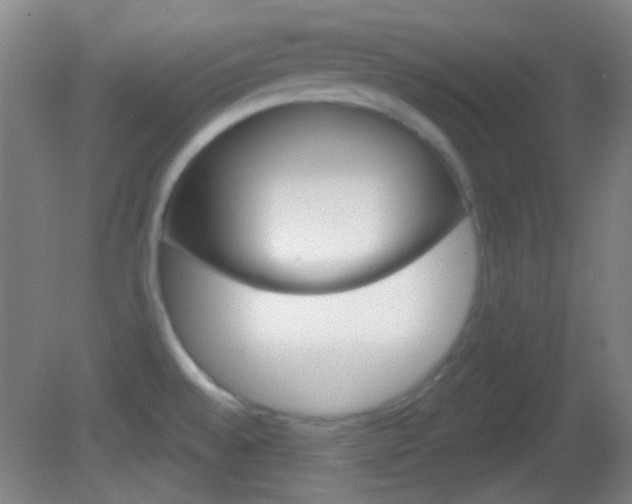 X0000082681528200701260915