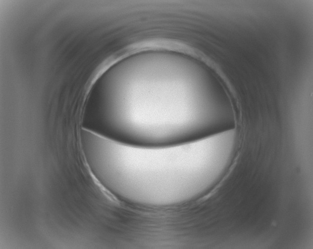 X0000082681529200701260915
