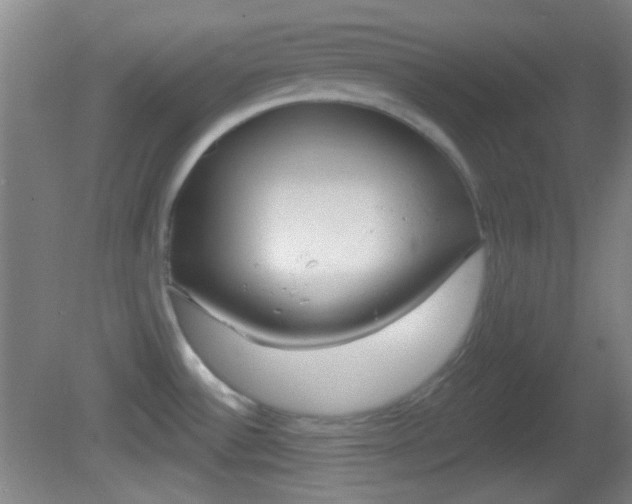X0000082681532200701260915