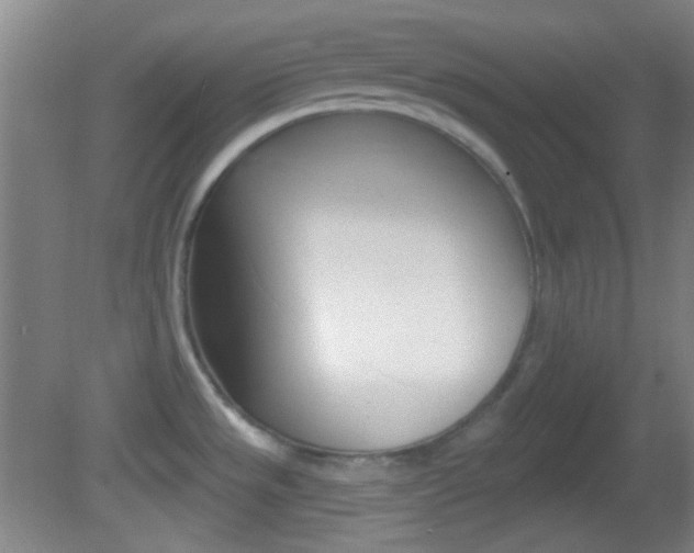 X0000082681533200701260915