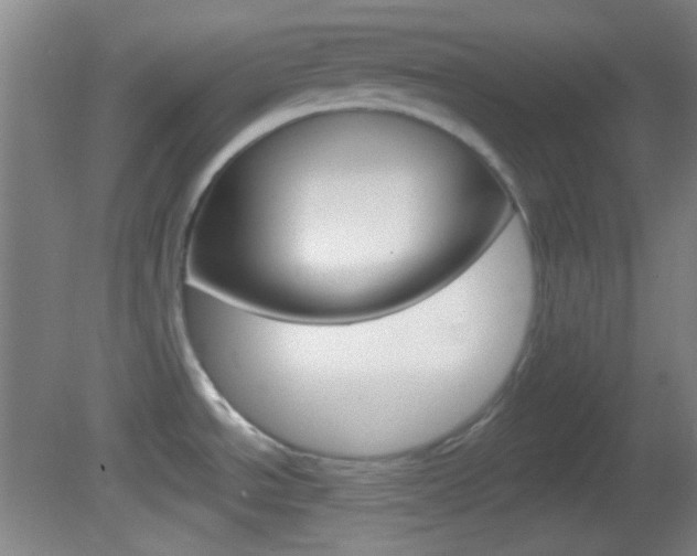 X0000082681534200701260915