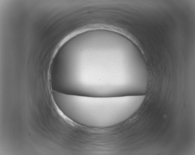 X0000082681535200701260915