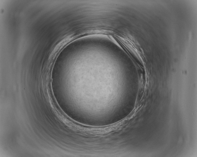 X0000082680001200701261207