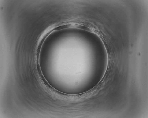 X0000082680006200701261207