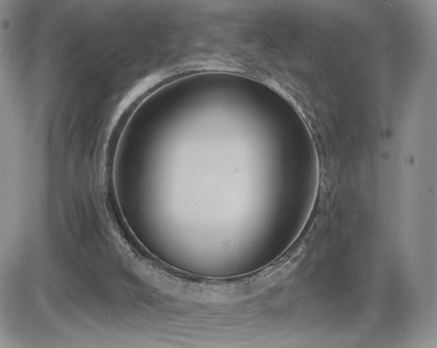 X0000082680008200701261207