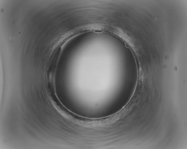 X0000082680013200701261207