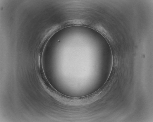 X0000082680014200701261207