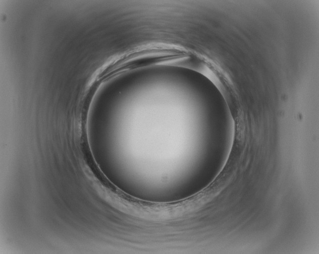 X0000082680015200701261207