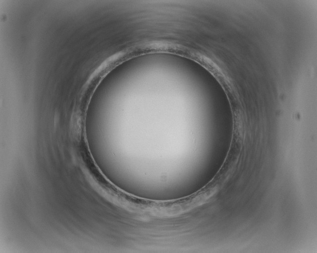 X0000082680016200701261207