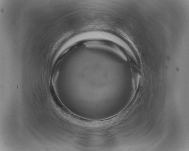 X0000082680019200701261207