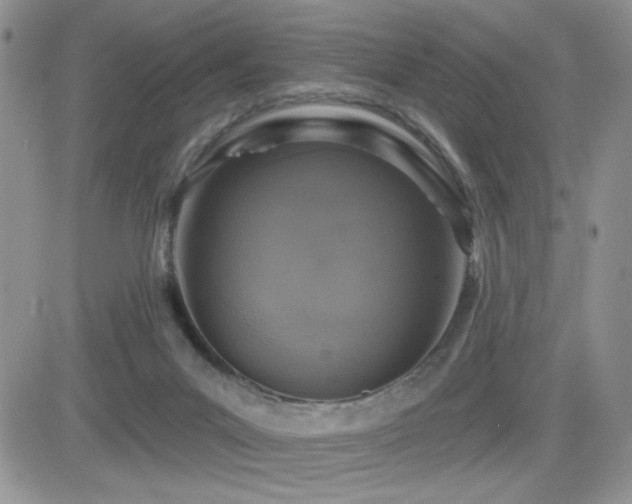 X0000082680023200701261207