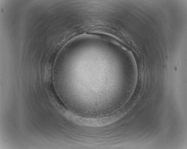 X0000082680030200701261207