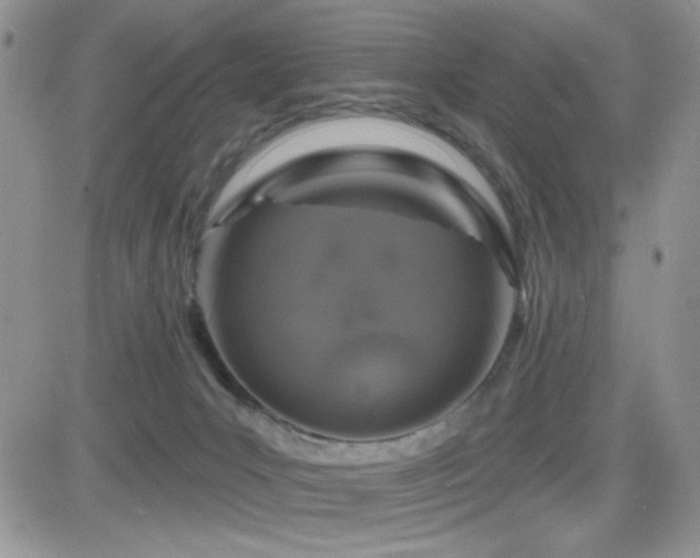X0000082680031200701261207
