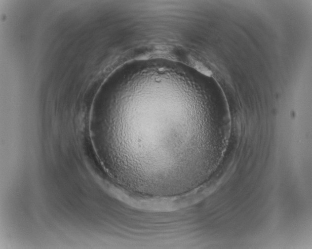 X0000082680032200701261207