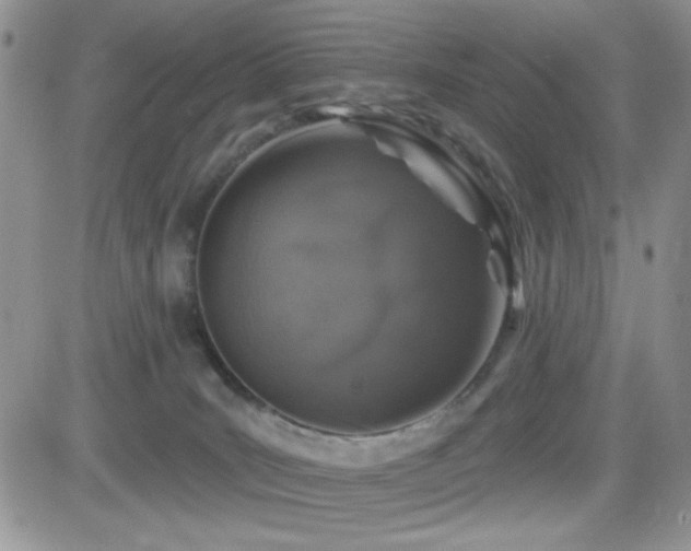 X0000082680035200701261207