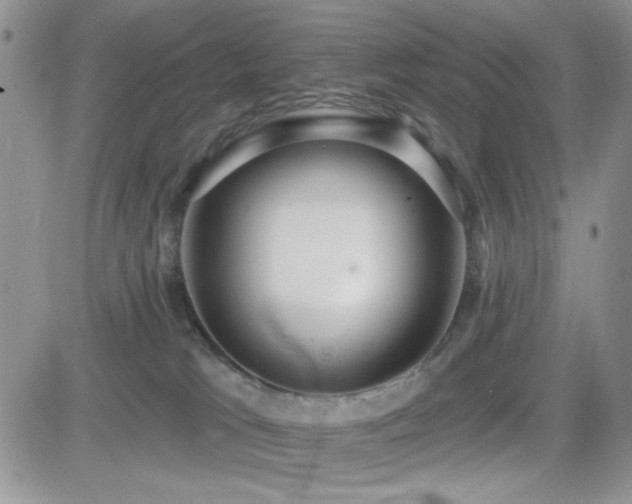 X0000082680037200701261206