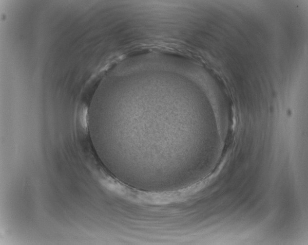 X0000082680041200701261206