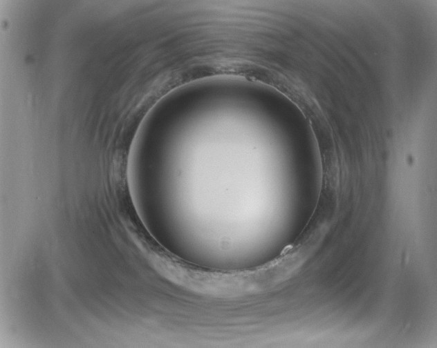 X0000082680044200701261206
