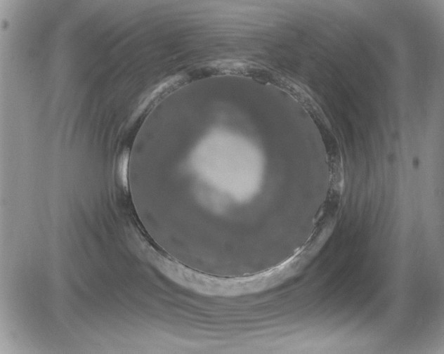 X0000082680047200701261206